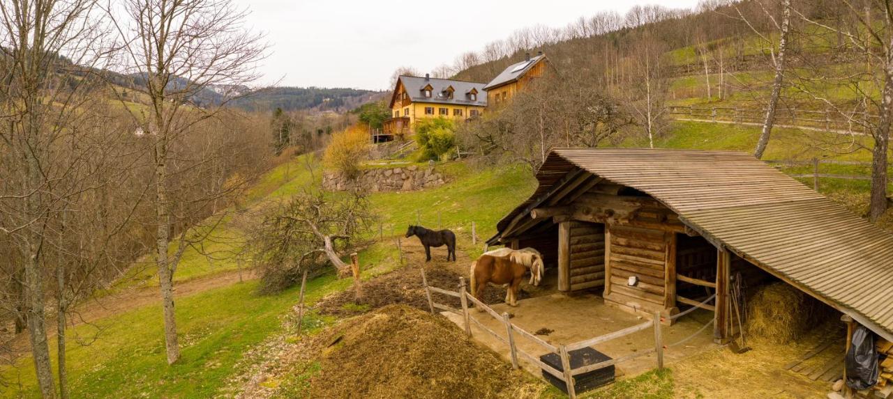 La Grange d'Hannah - gîte&chambre d’hôtes de charme Orbey Extérieur photo